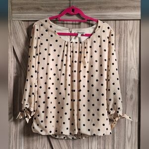 Dressbarn Cream and Black Blouse